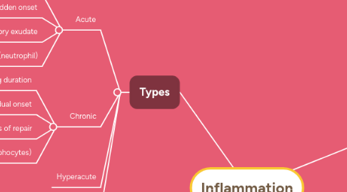 Mind Map: Inflammation