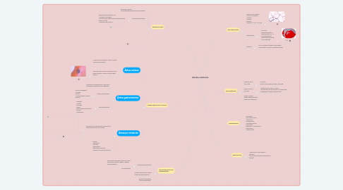 Mind Map: Bacillus anthracis