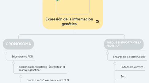 Mind Map: Expresión de la información genética