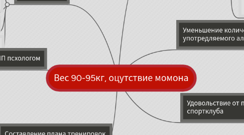 Mind Map: Вес 90-95кг, оцутствие момона