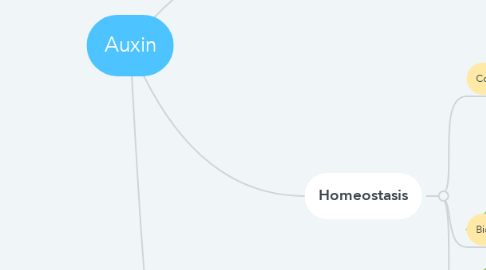 Mind Map: Auxin