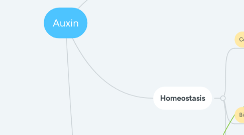 Mind Map: Auxin