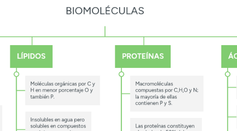 Mind Map: BIOMOLÉCULAS