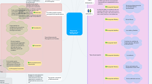 Mind Map: Relación del cerebro con las Percepciones