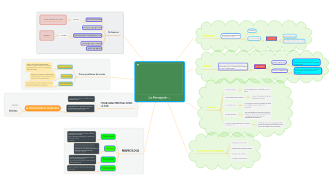 Mind Map: La Percepción