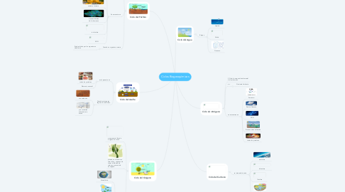 Mind Map: Ciclos Biogeoquímicos