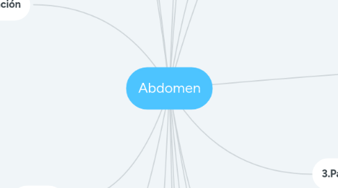 Mind Map: Abdomen