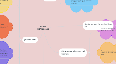 Mind Map: PARES CRANEALES