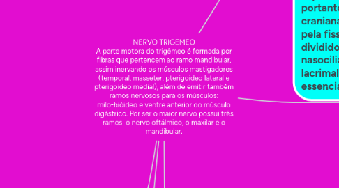 Mind Map: NERVO TRIGEMEO A parte motora do trigêmeo é formada por fibras que pertencem ao ramo mandibular, assim inervando os músculos mastigadores (temporal, masseter, pterigoideo lateral e pterigoideo medial), além de emitir também ramos nervosos para os músculos: milo-hióideo e ventre anterior do músculo digástrico. Por ser o maior nervo possui três ramos o nervo oftálmico, o maxilar e o mandibular.