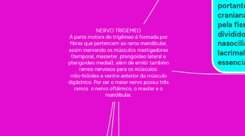 Mind Map: NERVO TRIGEMEO A parte motora do trigêmeo é formada por fibras que pertencem ao ramo mandibular, assim inervando os músculos mastigadores (temporal, masseter, pterigoideo lateral e pterigoideo medial), além de emitir também ramos nervosos para os músculos: milo-hióideo e ventre anterior do músculo digástrico. Por ser o maior nervo possui três ramos  o nervo oftálmico, o maxilar e o mandibular.