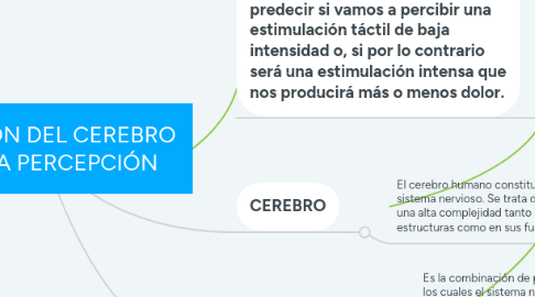 Mind Map: RELACIÓN DEL CEREBRO CON LA PERCEPCIÓN