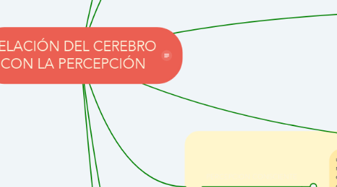 Mind Map: RELACIÓN DEL CEREBRO CON LA PERCEPCIÓN