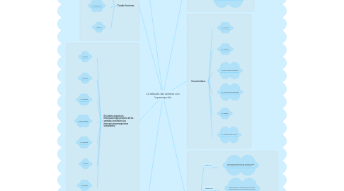 Mind Map: La relación del cerebro con la percepción