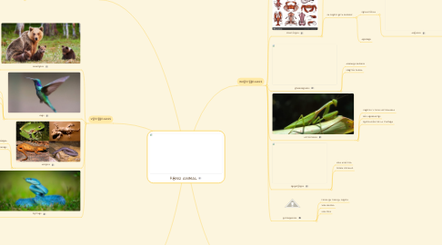 Mind Map: REINO ANIMAL