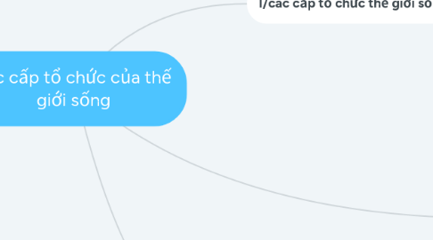 Mind Map: các cấp tổ chức của thế giới sống