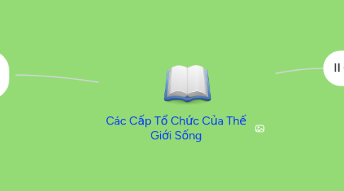 Mind Map: Các Cấp Tổ Chức Của Thế Giới Sống