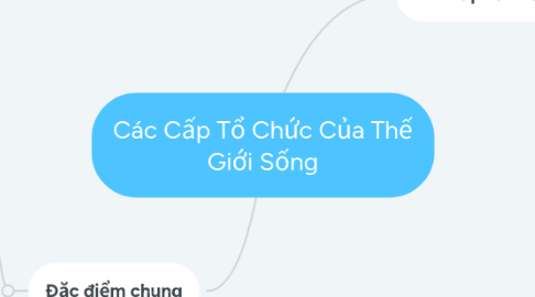 Mind Map: Các Cấp Tổ Chức Của Thế Giới Sống