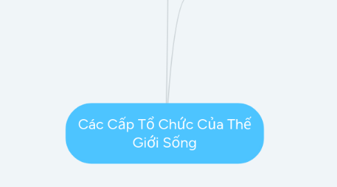 Mind Map: Các Cấp Tổ Chức Của Thế Giới Sống