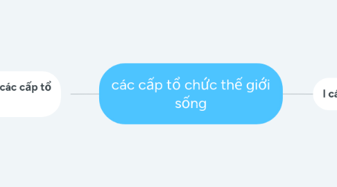 Mind Map: các cấp tổ chức thế giới sống