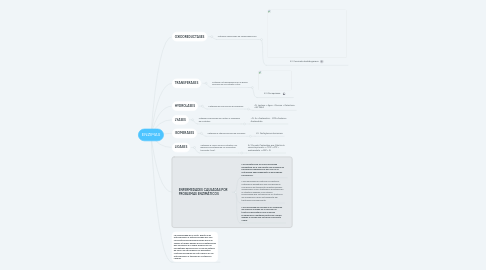 Mind Map: ENZIMAS