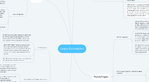 Mind Map: Upper Extremities