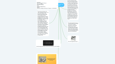 Mind Map: Illinois Mortgage Note Buyers