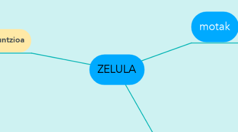 Mind Map: ZELULA