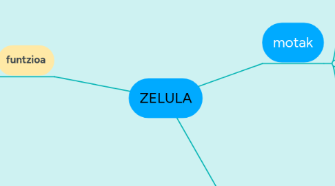 Mind Map: ZELULA