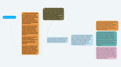 Mind Map: alimentación de las células