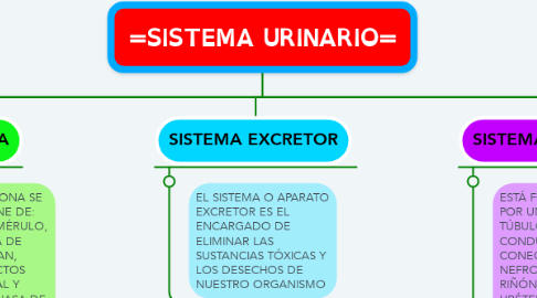 Mind Map: =SISTEMA URINARIO=
