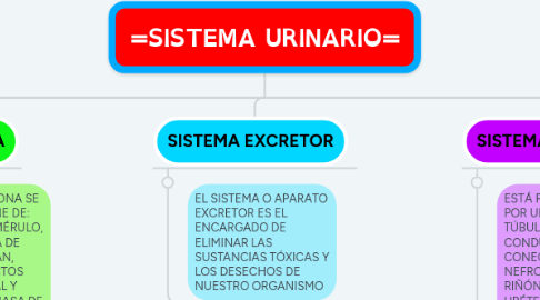 Mind Map: =SISTEMA URINARIO=