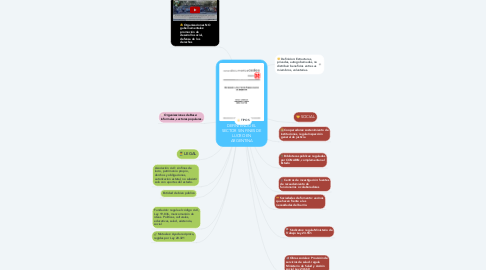 Mind Map: DEFINIENDO EL SECTOR SIN FINES DE LUCRO EN ARGENTINA