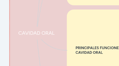 Mind Map: CAVIDAD ORAL