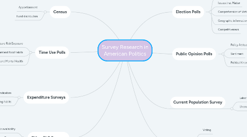 Mind Map: Survey Research in American Politics