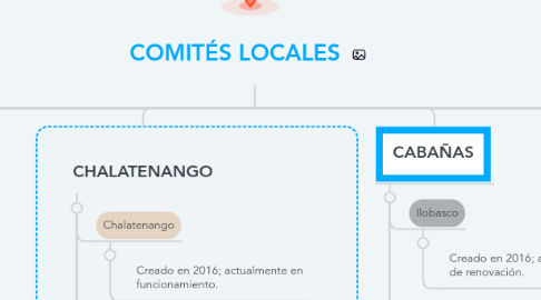 Mind Map: COMITÉS LOCALES