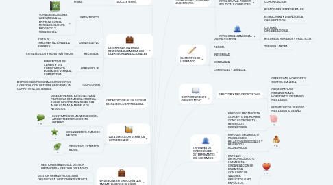 Mind Map: ROLES DIRECTIVOS DESDE LA PERSPECTIVA DE NEGOCIO.
