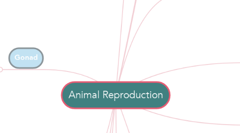Mind Map: Animal Reproduction
