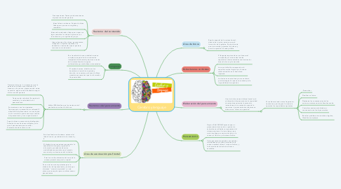 Mind Map: Cerebro y lenguaje