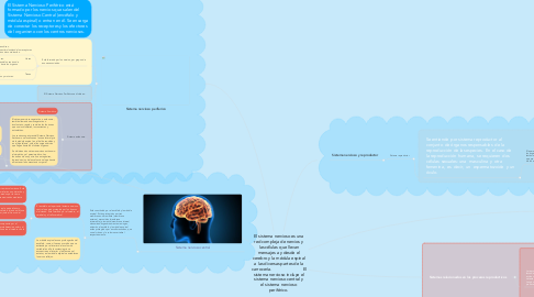 Mind Map: El sistema nervioso es una red compleja de nervios y las células que llevan mensajes a y desde el cerebro y la médula espinal a las diversas partes de la carrocería. El sistema nervioso incluye el sistema nervioso central y el sistema nervioso periférico.