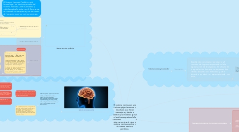 Mind Map: El sistema nervioso es una red compleja de nervios y las células que llevan mensajes a y desde el cerebro y la médula espinal a las diversas partes de la carrocería.                           El sistema nervioso incluye el sistema nervioso central y el sistema nervioso periférico.