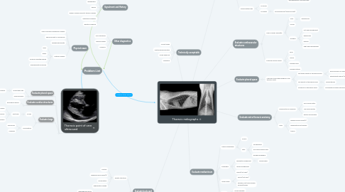 Mind Map: Thoracic radiographs