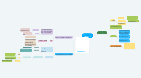 Mind Map: Sistema nervioso y reproductivo