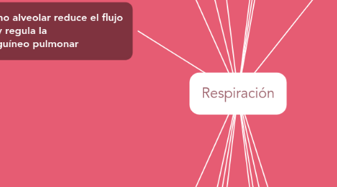 Mind Map: Respiración