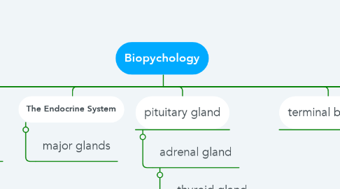 Mind Map: Biopychology