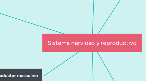 Mind Map: Sistema nervioso y reproductivo