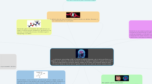 Mind Map: La información sensorial llega al SNC a través de los sentidos especiales y de los nervios periféricos y es integrada con las memorias y los estados de ánimo con el ﬁn de generar respuestas cognitivas, emocionales y motoras (conductuales).,son sustancias químicas creadas por el cuerpo que transmiten señales (es decir, información) desde una neurona hasta la siguiente a través de unos puntos de contacto llamados sinapsis.