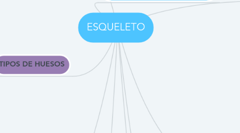 Mind Map: ESQUELETO