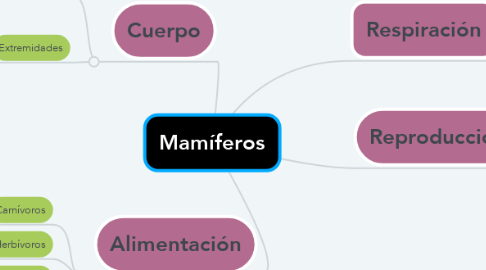 Mind Map: Mamíferos