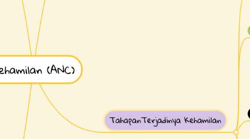 Mind Map: Kehamilan (ANC)