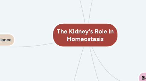 Mind Map: The Kidney's Role in Homeostasis